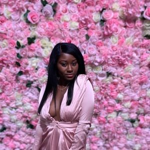 Meet your Posher, Sierra